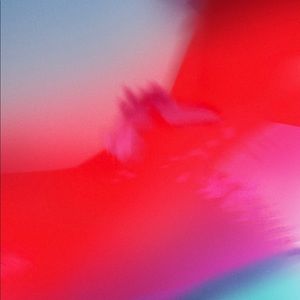 Meet your Posher, Dadakota